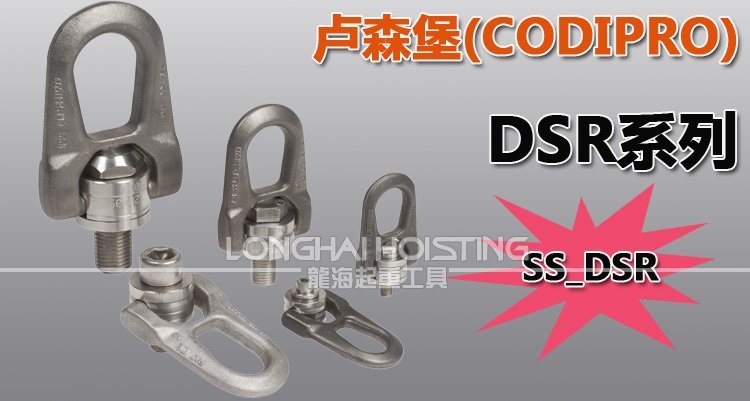 SS.DSR不銹鋼旋轉(zhuǎn)吊點(diǎn) SS.DSR不銹鋼旋轉(zhuǎn)吊點(diǎn)