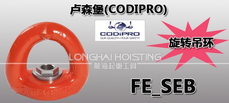 盧森堡FE_SEB旋轉吊環 盧森堡FE_SEB旋轉吊環