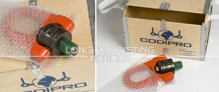 盧森堡CODIPRO吊環圖片 FE.DSR萬向旋轉吊環圖片