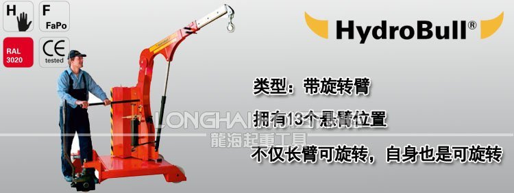 德國帶旋轉臂工業(yè)液壓小吊車 德國帶旋轉臂工業(yè)液壓小吊車